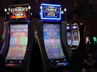 Casino wonderland loterijen