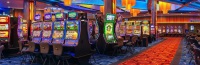 Pala online casino-app, vegas rio casino bonuscodes zonder storting