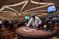 Casino wonderland sweeps