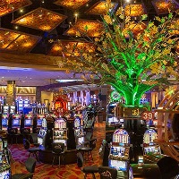 Mill Bay casinoconcerten 2023